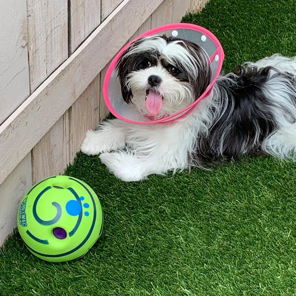 Interaktiver Futterball Für Hunde Mit Spielerischem Design