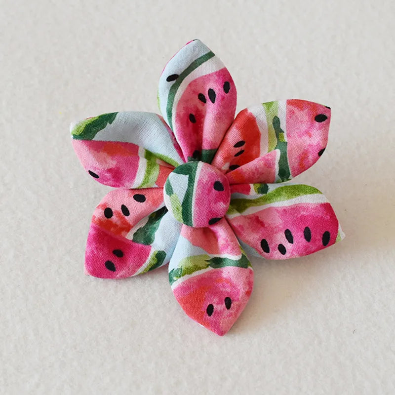 Hundehalsband mit Schleife und Leine Im Wassermelonen-Design – Verstellbar und Komfortabel