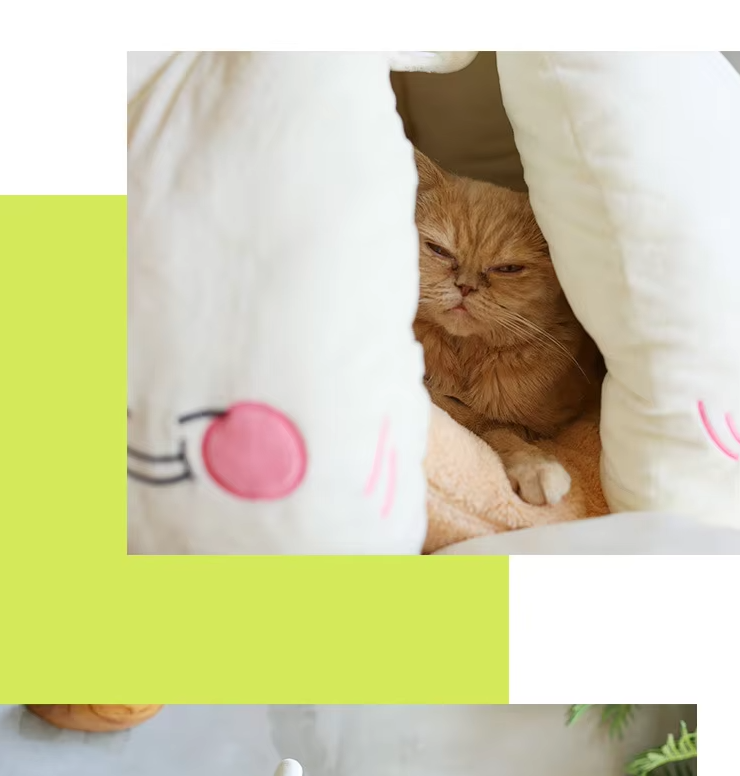 Kuschelige Katzenhöhle – Weiches Knoblauch-design Bett Für Katzen Kleine Hunde