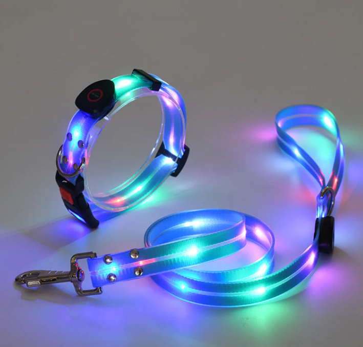 Leuchtendes Led-hundehalsband Mit Passender Leine Für Mehr Sicherheit