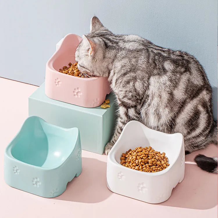 Erhöhte Futterschale Für Katzen – Ergonomisches Und Rutschfestes Design