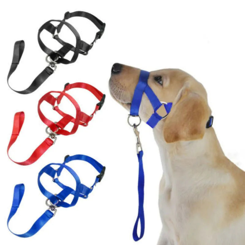 Verstellbares Hundegeschirr mit Leine – Komfortables Halfter für Kleine und Mittlere Hunde