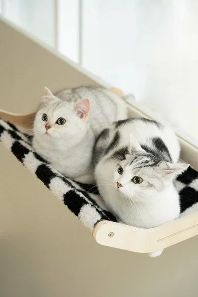 Kompakte Katzenliege