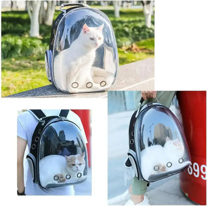 Transparenter Haustier-Rucksack