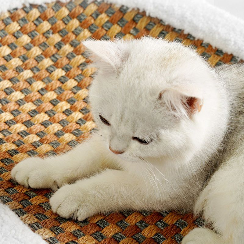 Premium Kratzbett für Katzen