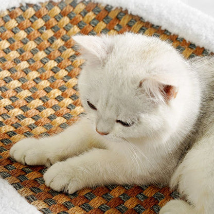 Premium Kratzbett für Katzen
