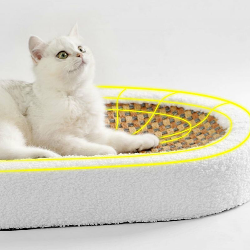 Premium Kratzbett für Katzen