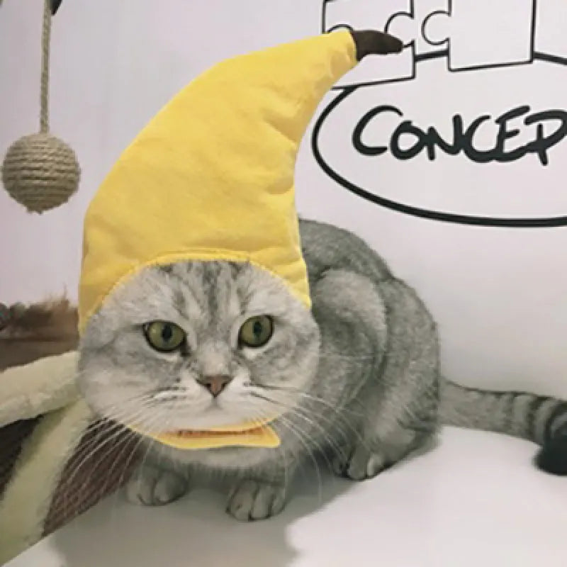 Katzen Haarkur-Set mit Lockenwicklern – Weiches Material und Einfach zu Tragen