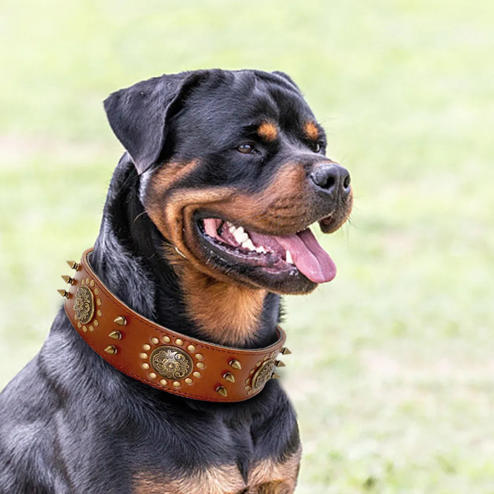 Leder Hundehalsband mit Nieten und Metallverzierungen für Große Hunde