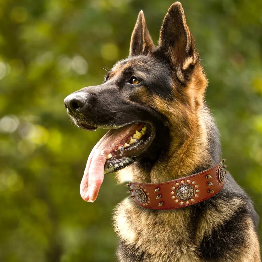 Leder Hundehalsband mit Nieten und Metallverzierungen für Große Hunde