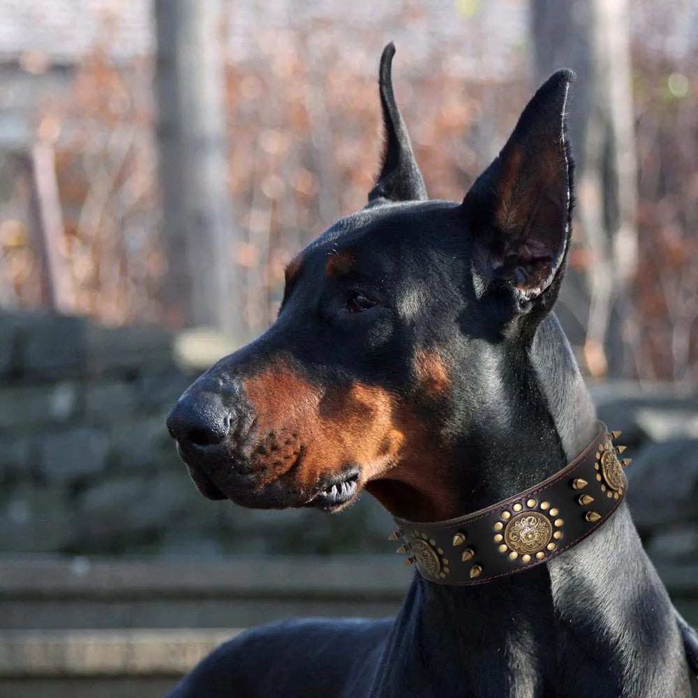 Leder Hundehalsband mit Nieten und Metallverzierungen für Große Hunde