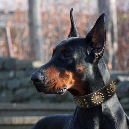 Leder Hundehalsband mit Nieten und Metallverzierungen für Große Hunde