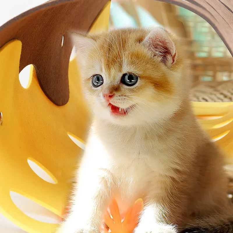 Katzentunnel Mit Löchern – Flexibler Spieltunnel Für Katzen