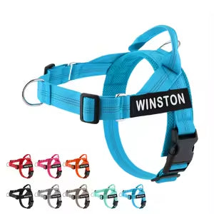Individuell gestaltetes, reflektierendes No-Pull-Hundegeschirr mit personalisiertem Namensaufnäher