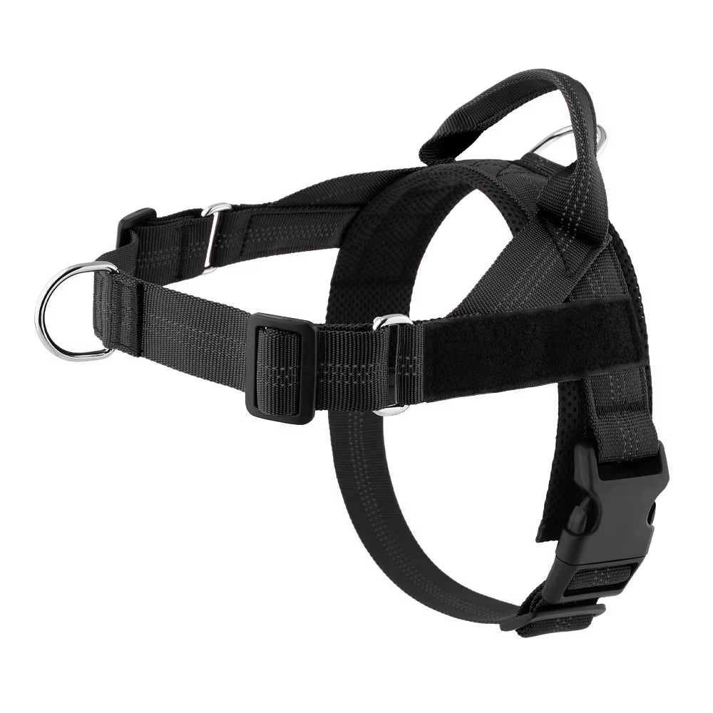Individuell gestaltetes, reflektierendes No-Pull-Hundegeschirr mit personalisiertem Namensaufnäher