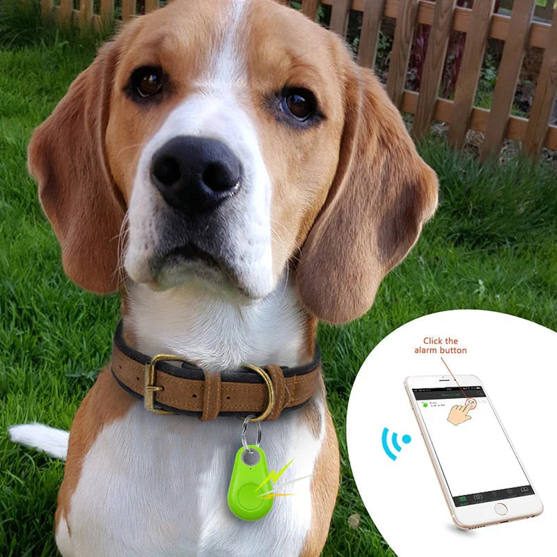 Tragbarer GPS-Tracker für Haustiere