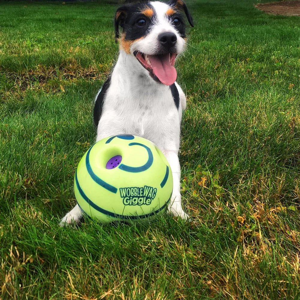 Interaktiver Futterball Für Hunde Mit Spielerischem Design