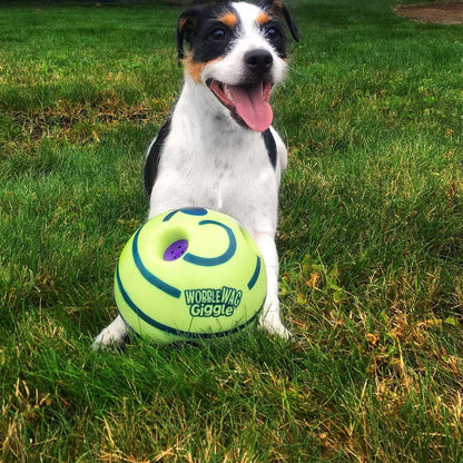 Interaktiver Futterball Für Hunde Mit Spielerischem Design