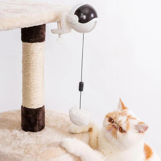 Automatisches Katzenspielzeug