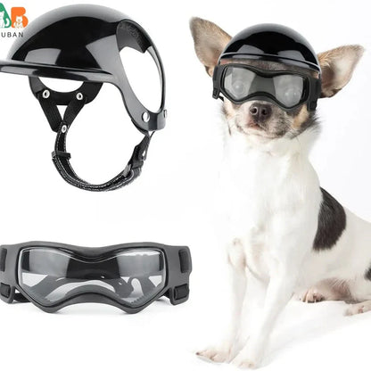Sicherheitshelm Für Hunde Mit Getönter Brille