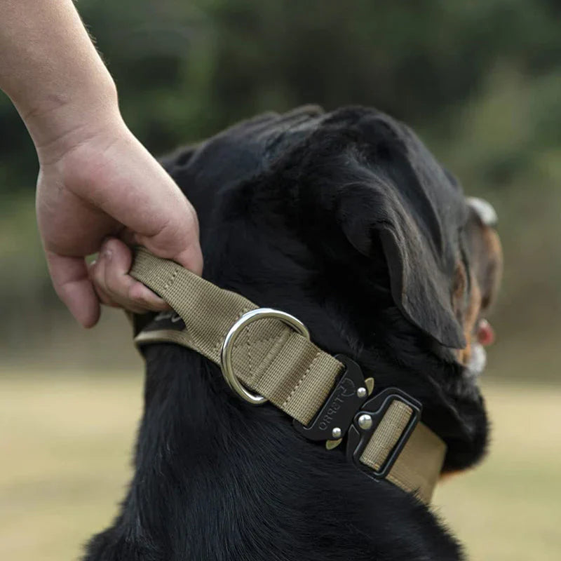Hundehalsband mit Handgriff für optimale Führung