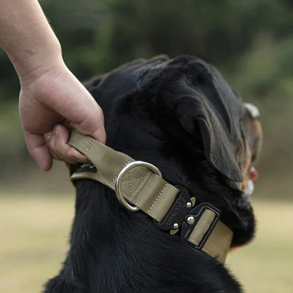 Hundehalsband mit Handgriff für optimale Führung