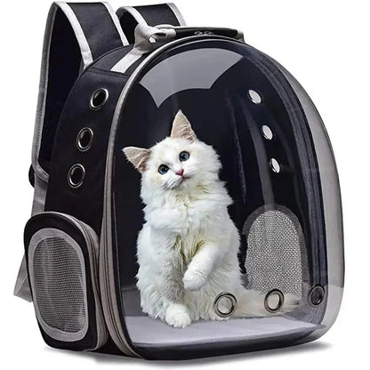 Transparenter Haustier-Rucksack