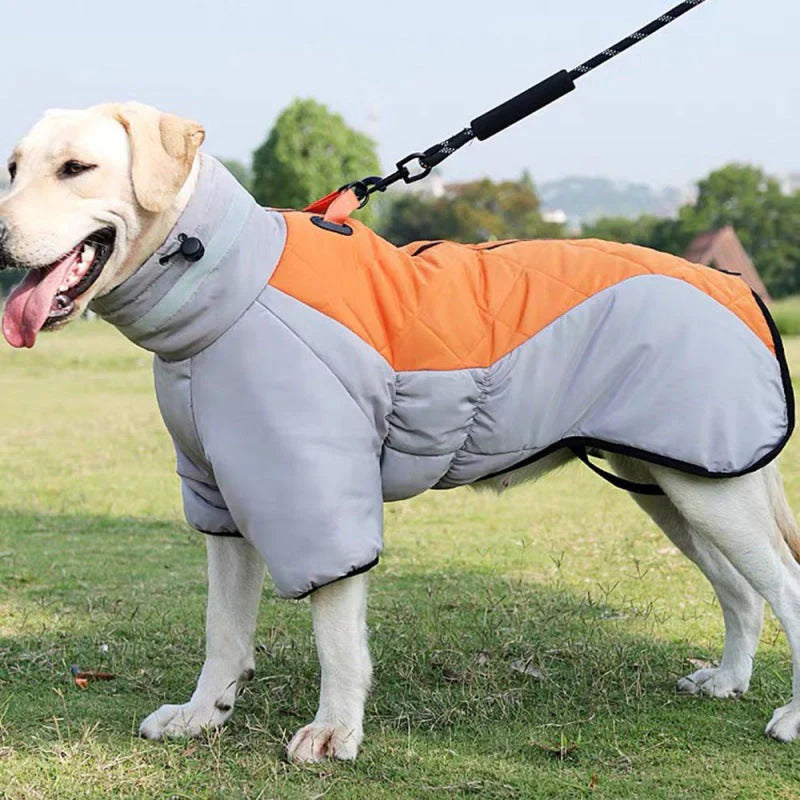 Wasserfester Hundemantel für kalte Tage