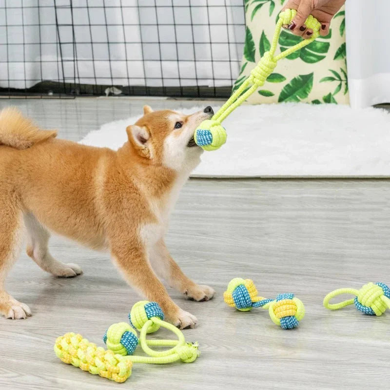 Robustes Kauspielzeug für Hunde – Knoten Spaß & Zahnpflege