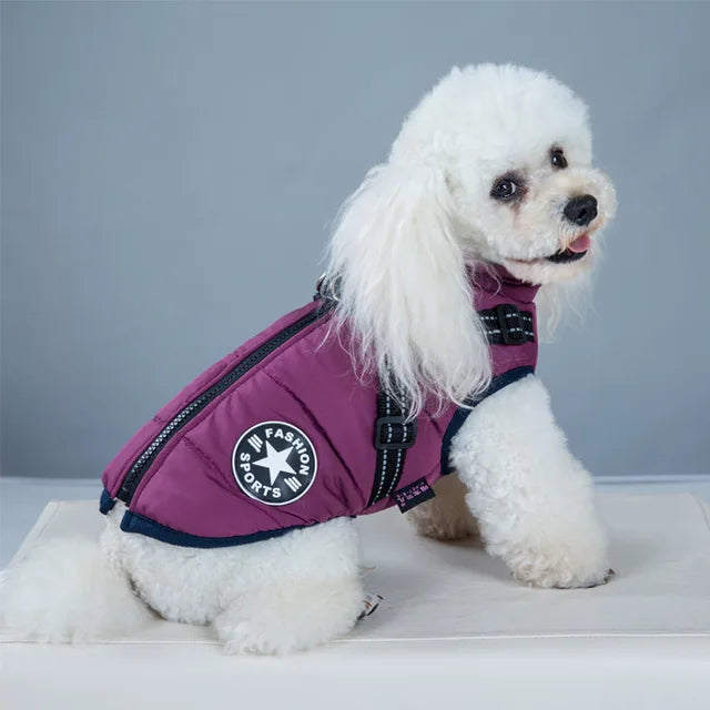 Wetterfeste Hundejacke Mit Integriertem Geschirr