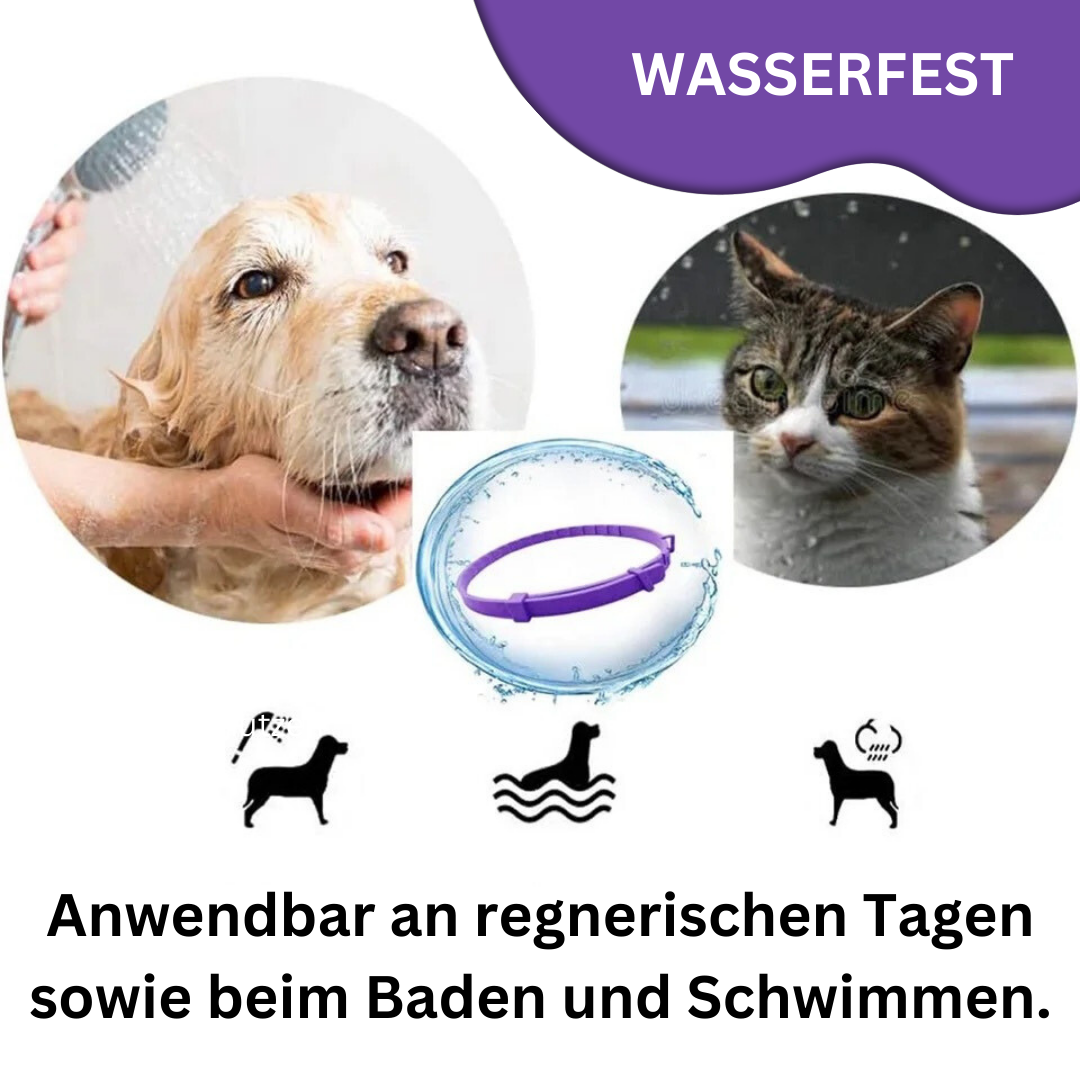 Beruhigungs-Halsband mit Pheromonen