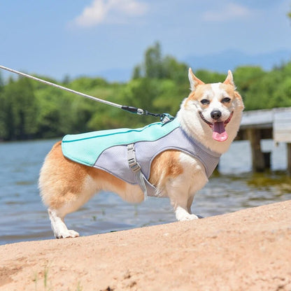 Leichtes Mesh Hundegeschirr für Spaziergänge
