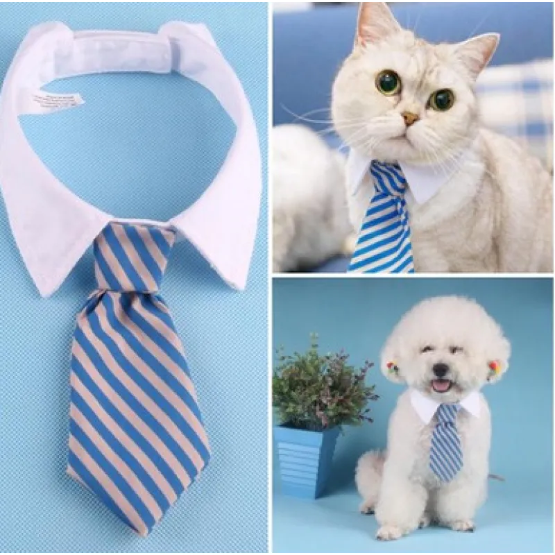Eleganter Haustier-Kragen mit Krawatte für Hunde und Katzen