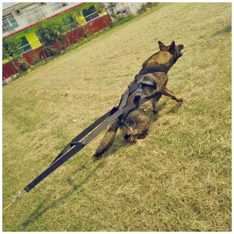 Hundetraining Geschirr mit Zugreifen und Reifen – Robust und Verstellbar