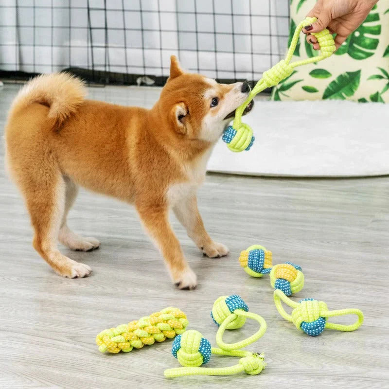 Robustes Kauspielzeug für Hunde – Knoten Spaß & Zahnpflege