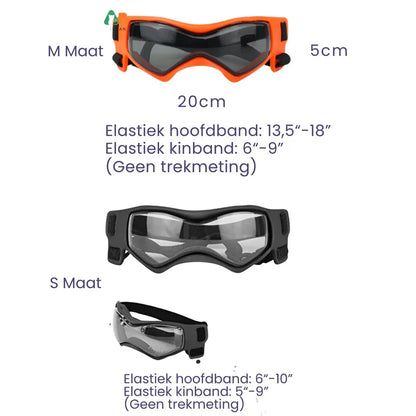 Sicherheitshelm Für Hunde Mit Getönter Brille