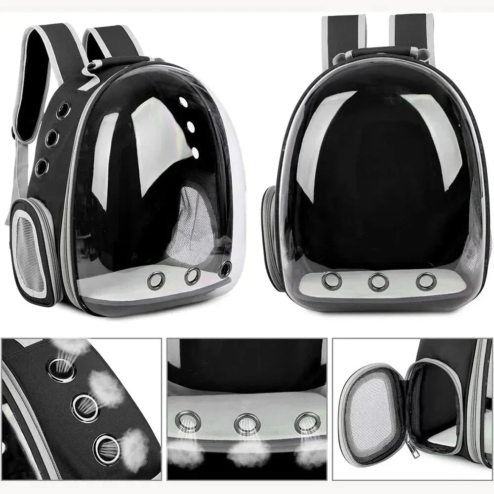 Transparenter Haustier-Rucksack