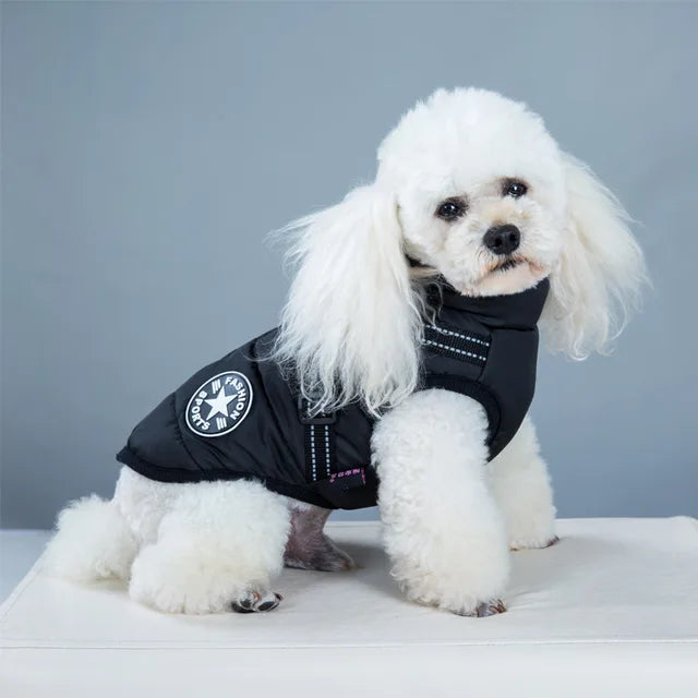 Wetterfeste Hundejacke Mit Integriertem Geschirr