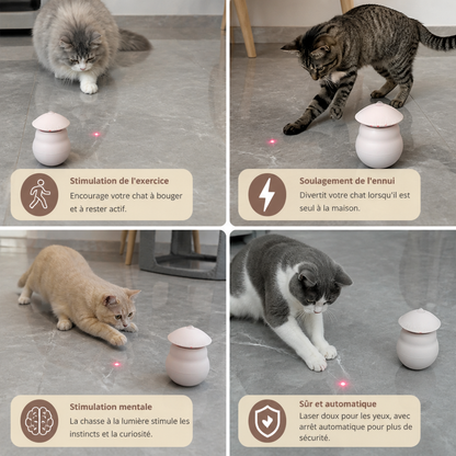 Automatisches bewegungsaktiviertes Laser-Spielzeug für Katzen