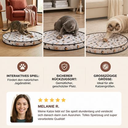 Interaktives Katzen Ball Versteck Spiel