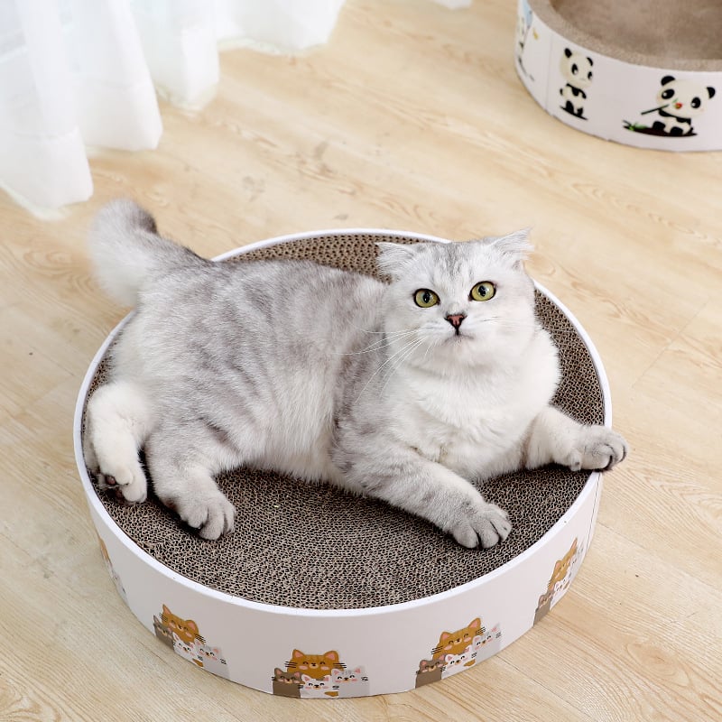 Katzenkratzmatte rund mit Süßem Design – Katzenkratzbrett für Mehr Kratzspaß und Entspannung