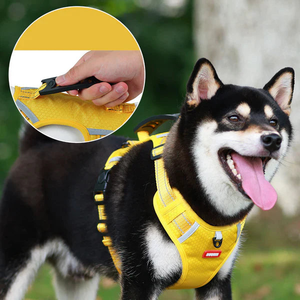Reflektierendes Hunde-Softgeschirr in Premium-Qualität