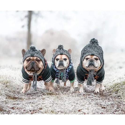 Stylische Hundemütze mit Bommel – Warme Wintermütze für Kleine Hunde