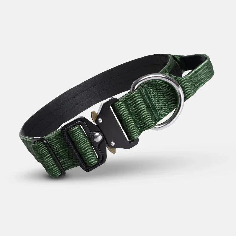 Hundehalsband mit Handgriff für optimale Führung