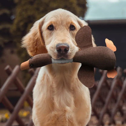 Strapazierfähiges Hundespielzeug – Doppelpack Aktion