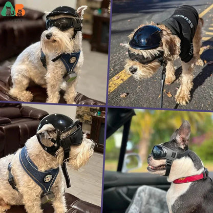 Sicherheitshelm Für Hunde Mit Getönter Brille