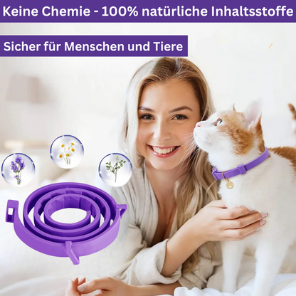 Beruhigungs-Halsband mit Pheromonen