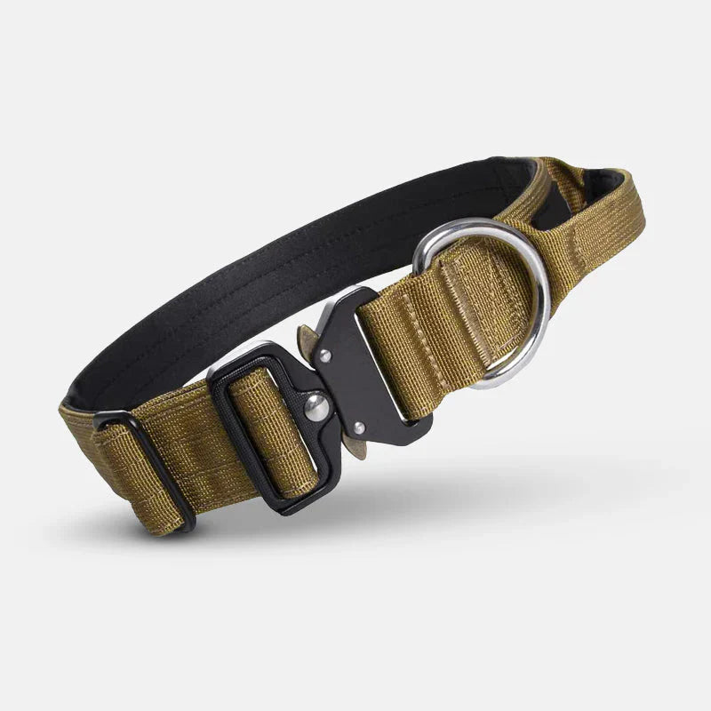 Hundehalsband mit Handgriff für optimale Führung
