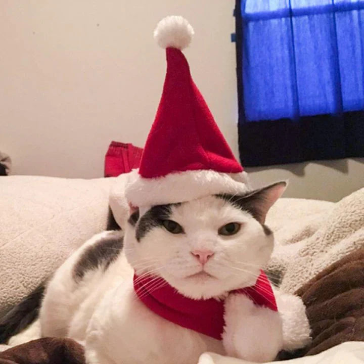 Weihnachtsmütze Mit Schal Für Haustiere
