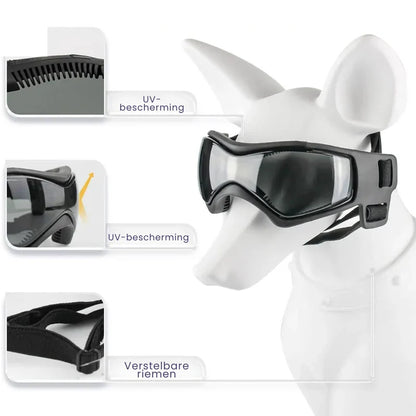 Sicherheitshelm Für Hunde Mit Getönter Brille